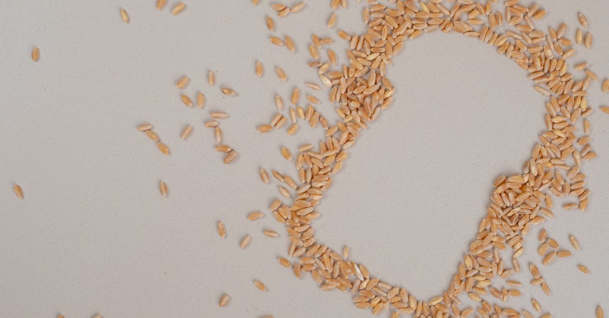 «Ренессанс страхование» на первом этапе профинансирует и застрахует, а затем будет регулярно страховать проект по агротрейдингу